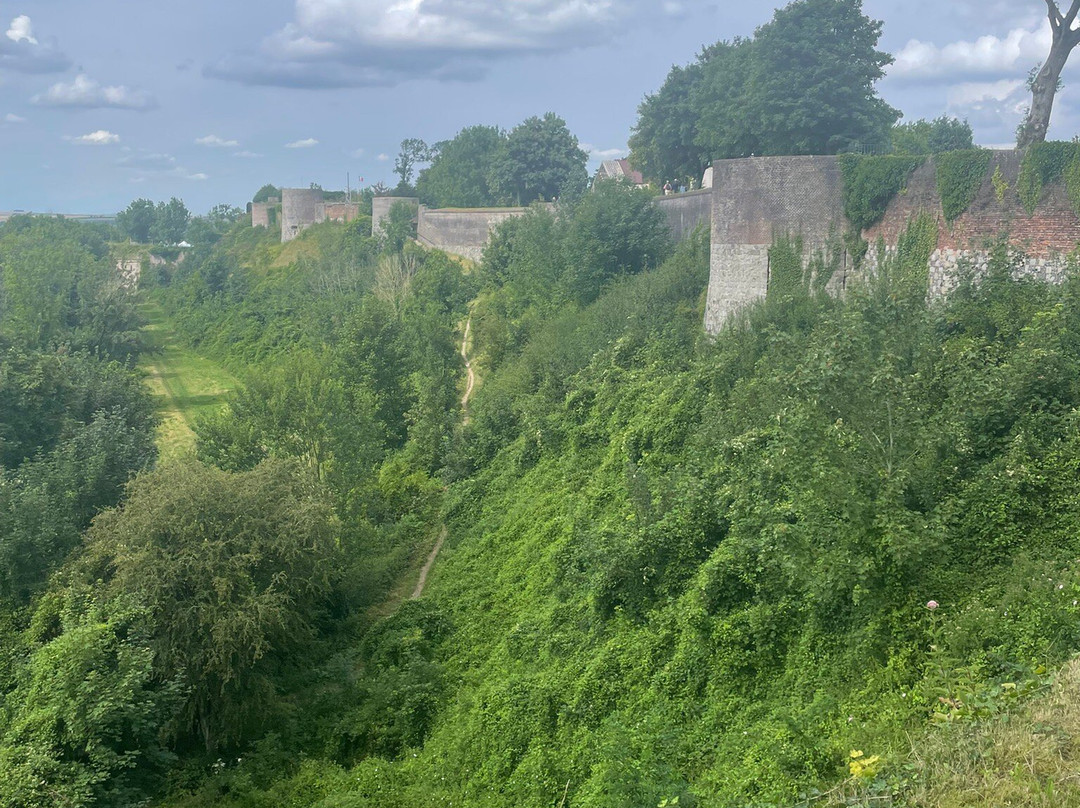 蒙特里城堡酒店主图
