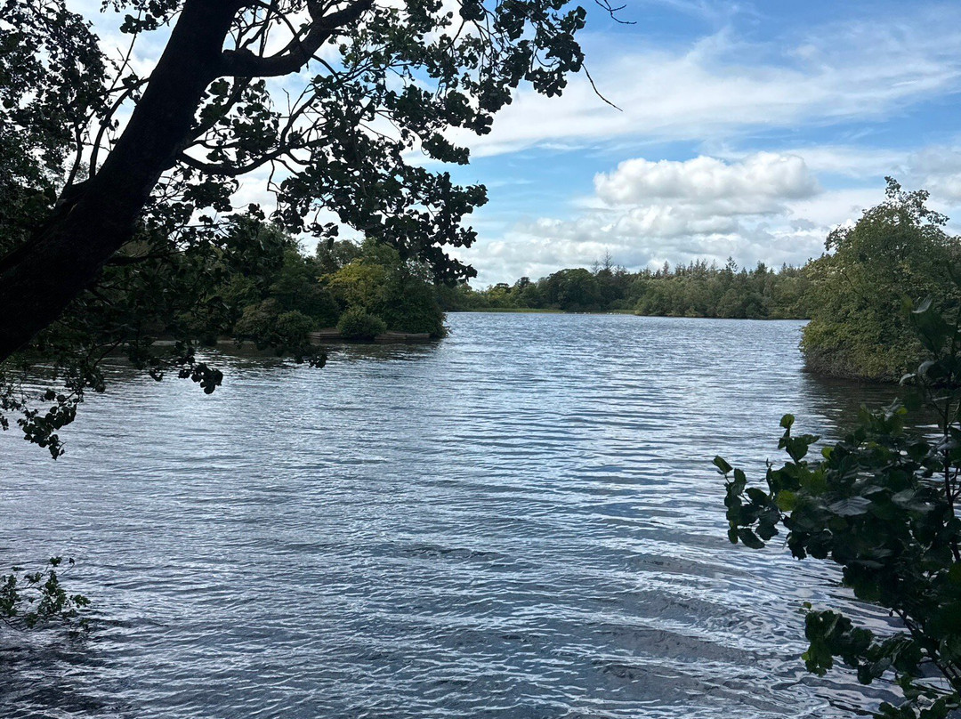 Bolam Lake Country Park-Belsay必去景点