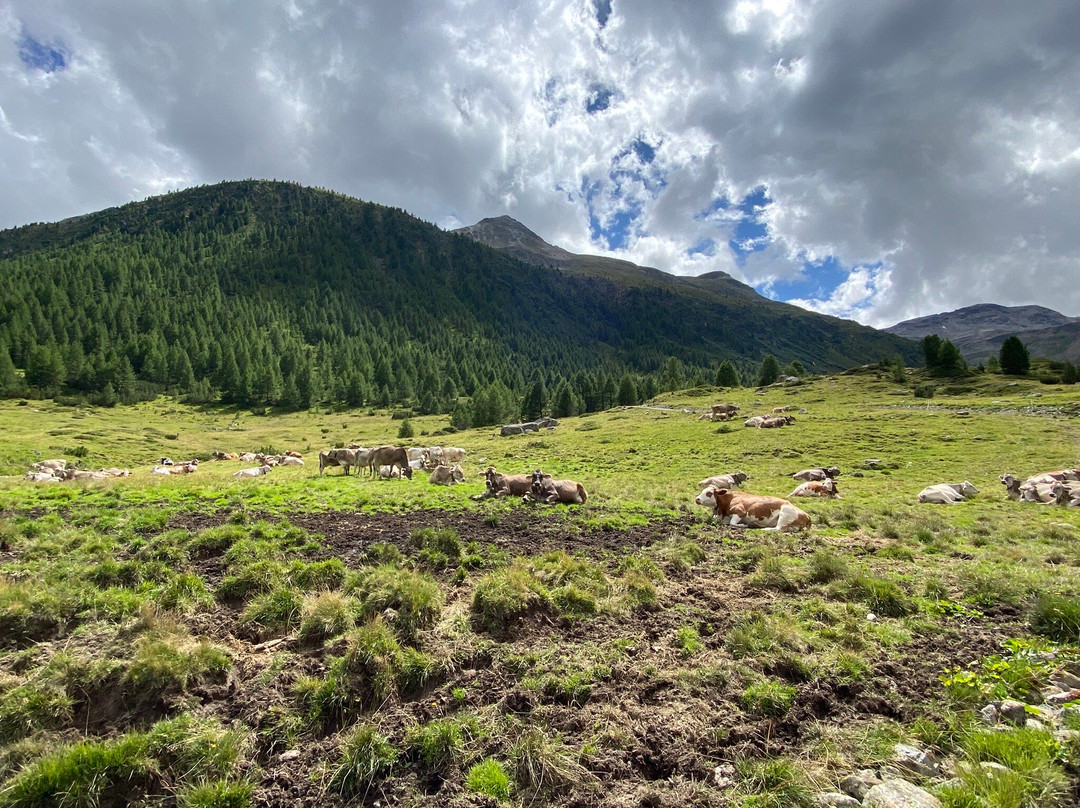 Cascata della Val Nera-利维尼奥必去景点