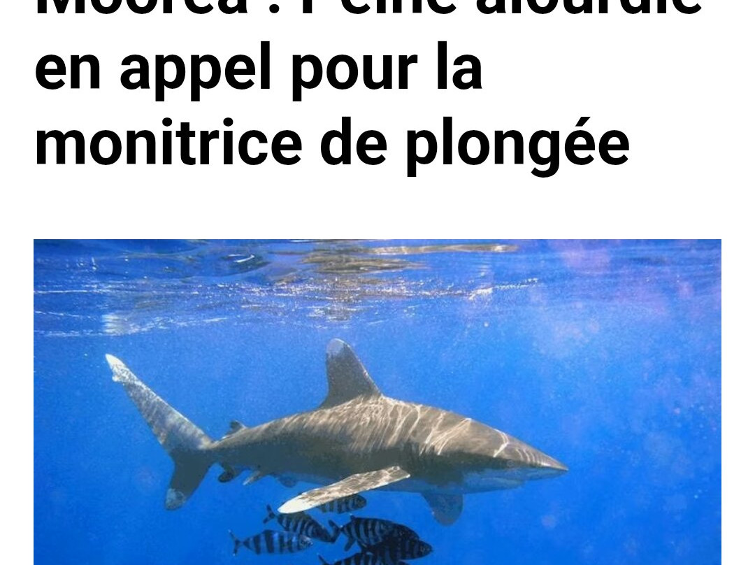 Moorea Underwater Experience-Temae必去景点