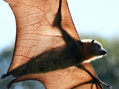 Perfect Day Sydney-悉尼必去景点