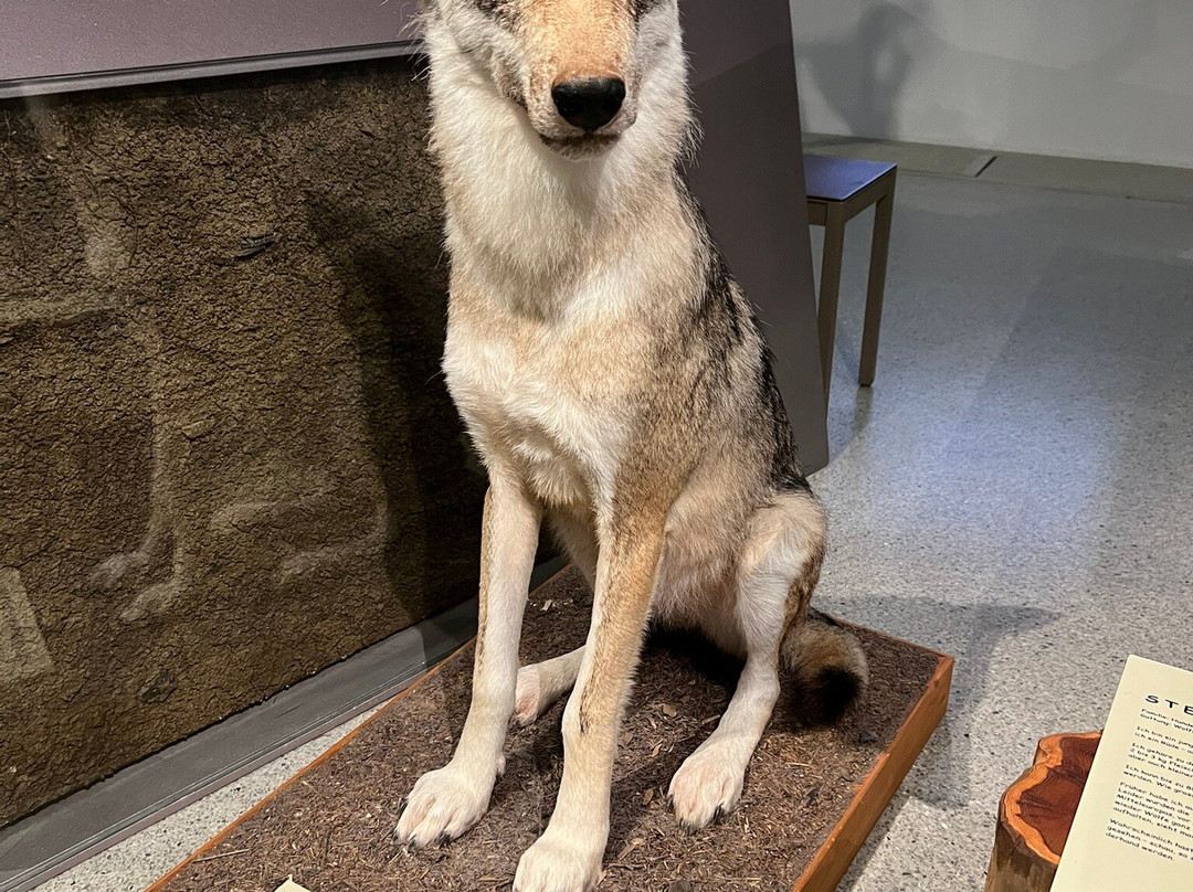 Liechtensteinisches Landesmuseum-瓦杜兹必去景点