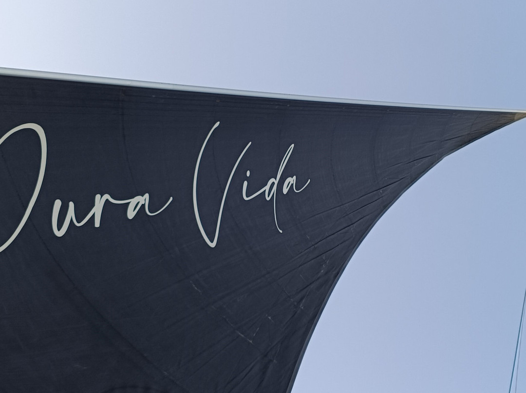 Albarco Com Calidad Nautica-加的斯市必去景点