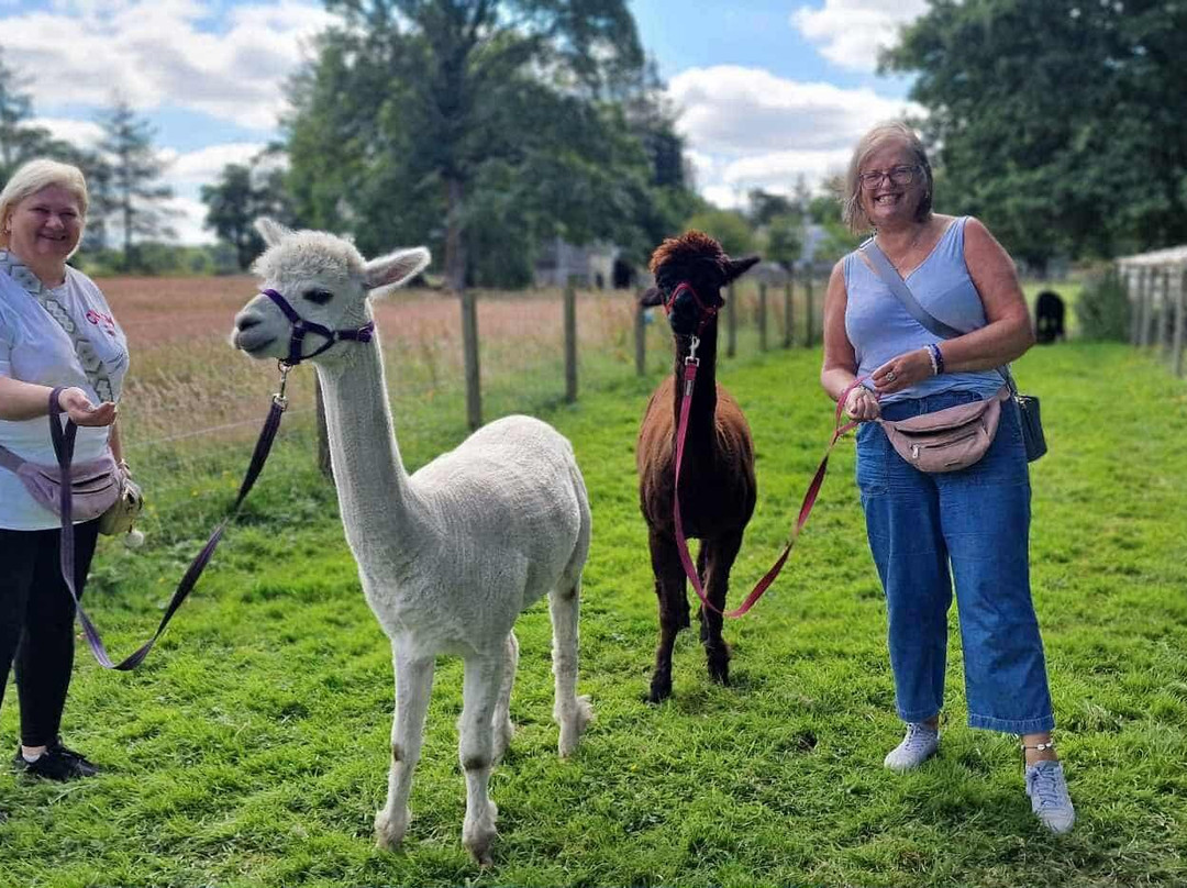 Wee Eden-West Calder必去景点