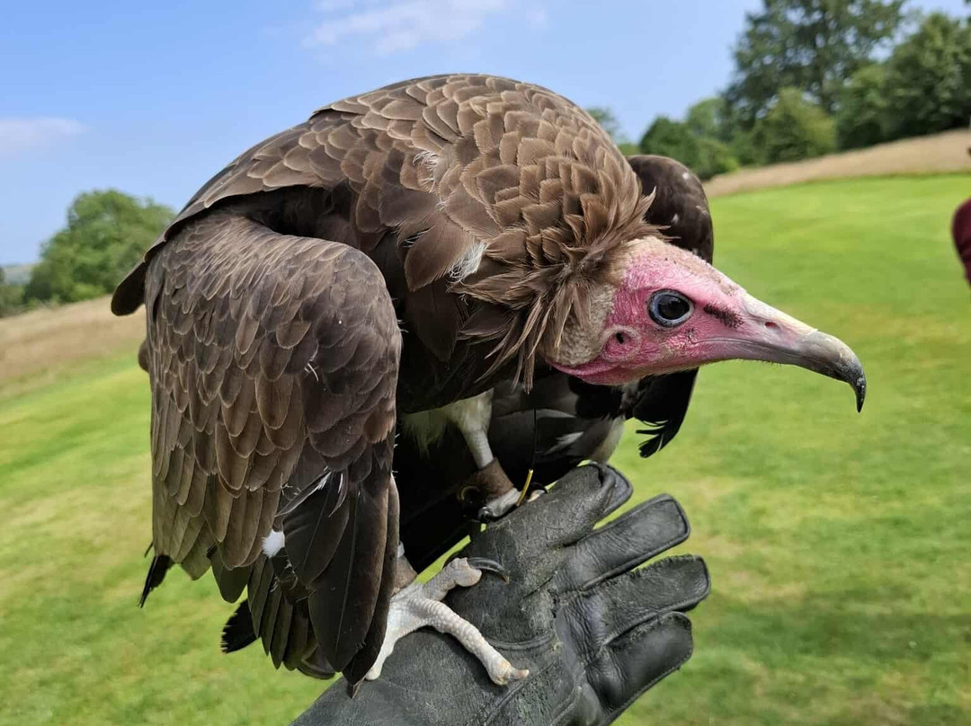 The Hawking Centre-Boughton Lees必去景点