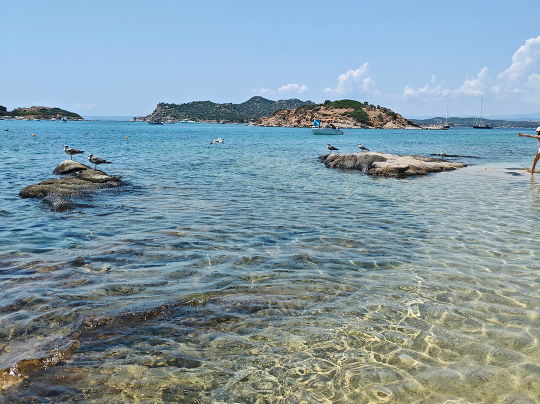 Drenia Island-Ammouliani必去景点