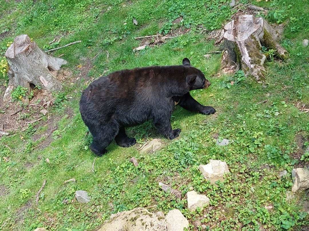 Zoo Osnabrück-奥斯纳布吕克必去景点