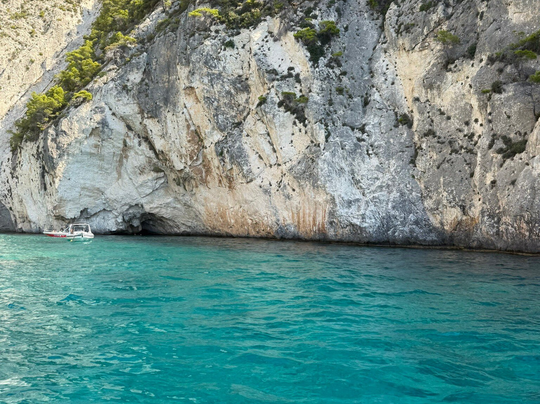 Dolphin Boat Rentals-利姆尼科利必去景点