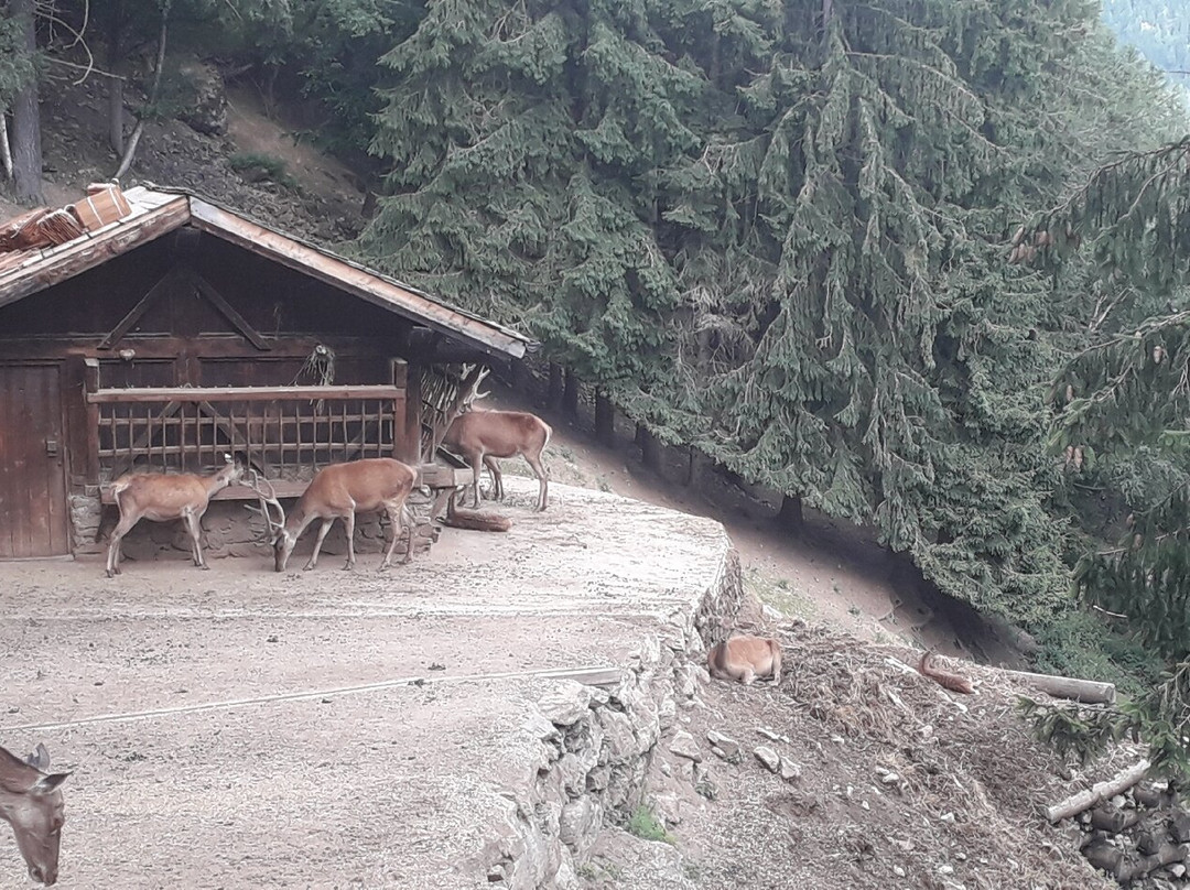 Area Faunistica-Peio Fonti必去景点