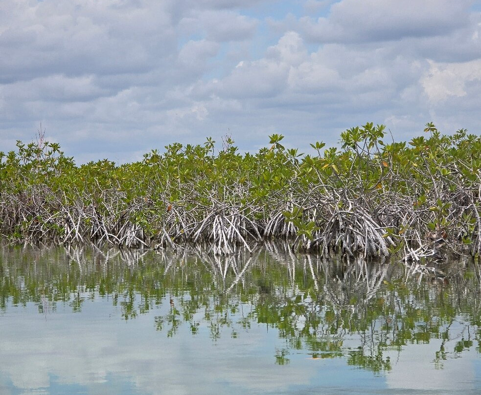 Visit Sian Ka'an-图伦必去景点