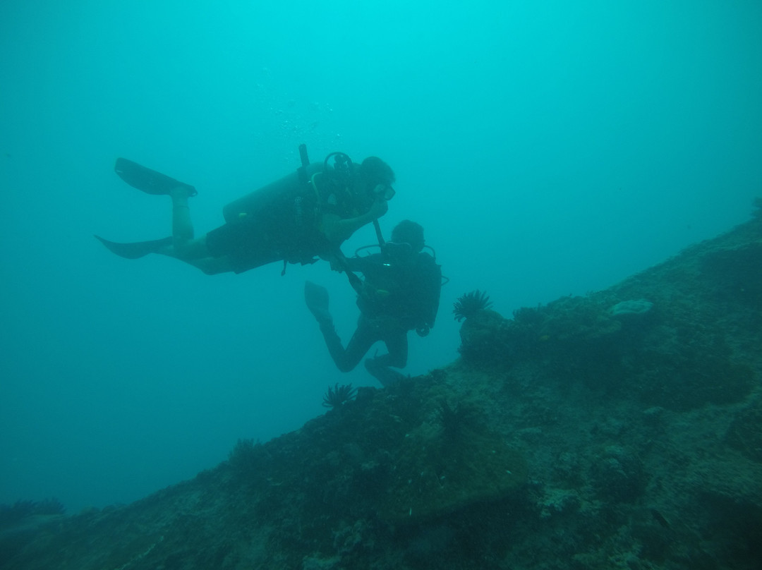 Gili Island Diving Center-Gili Air必去景点