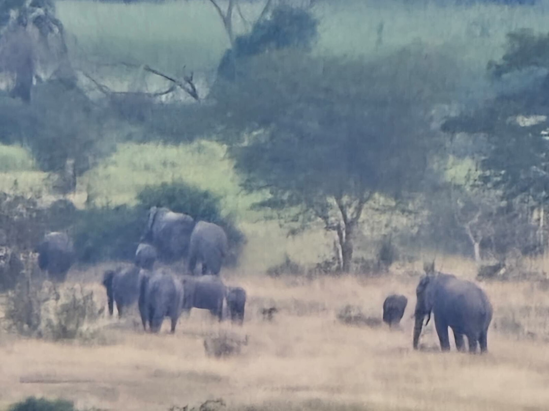 Jinja Bike Tours And Safaris-Buikwe必去景点