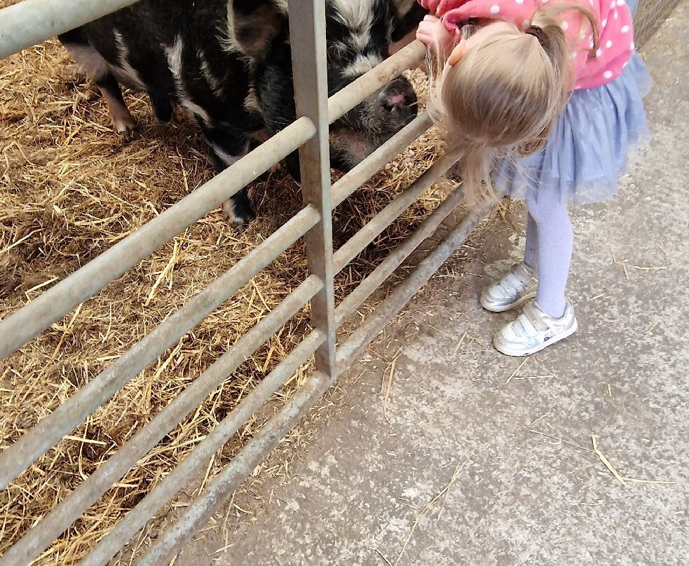 Willhome Farm Barn-Camrose必去景点