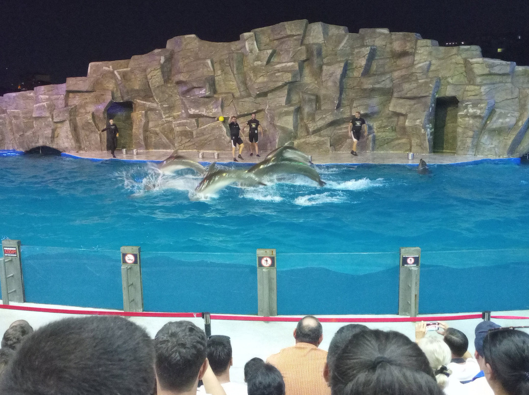 Batumi Dolphinarium-巴统必去景点