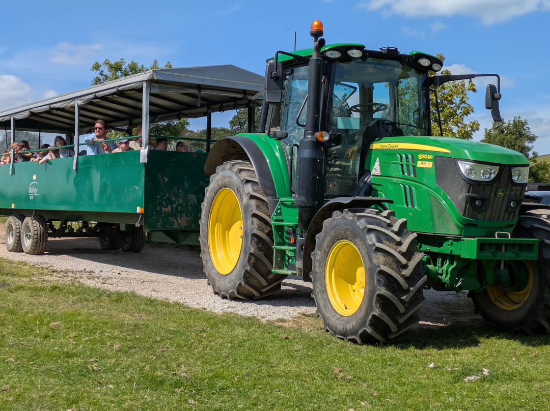 Hesketh Farm Park-斯基普顿必去景点