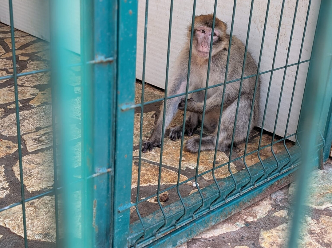 Ranch Aryen-Sutorina必去景点