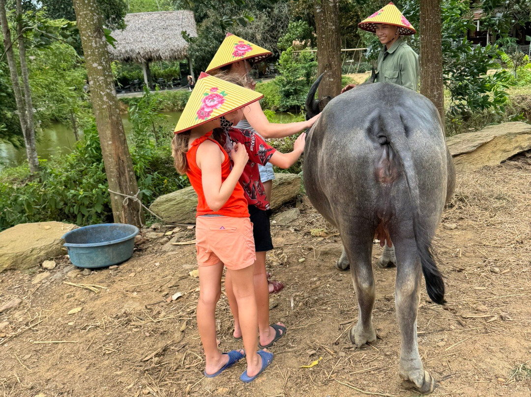 Tang's Farm Quang Binh-Hung Trach必去景点