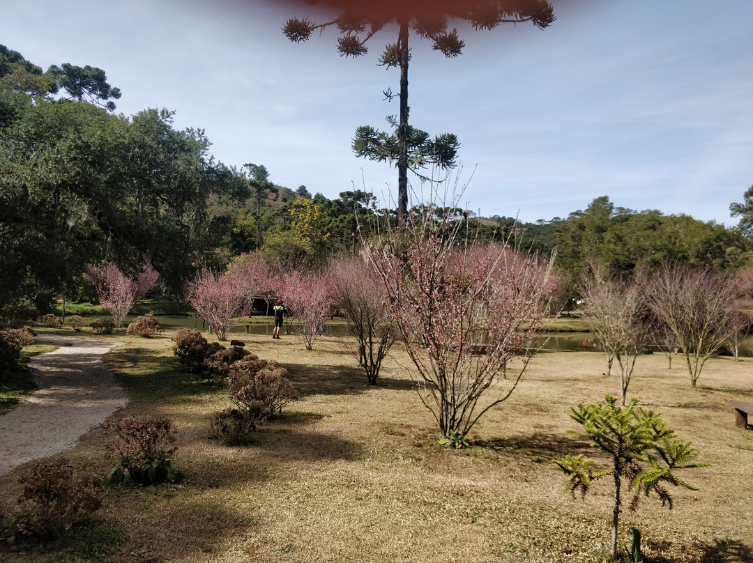 Parque da Lagoinha-坎普斯－杜若尔当必去景点