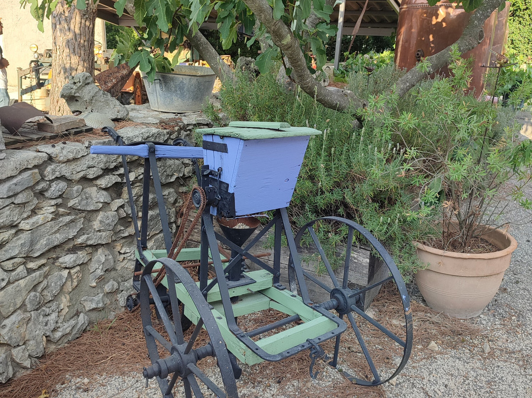 Maison de la Lavande - Domaine Lavandaïs-Saint-Remeze必去景点