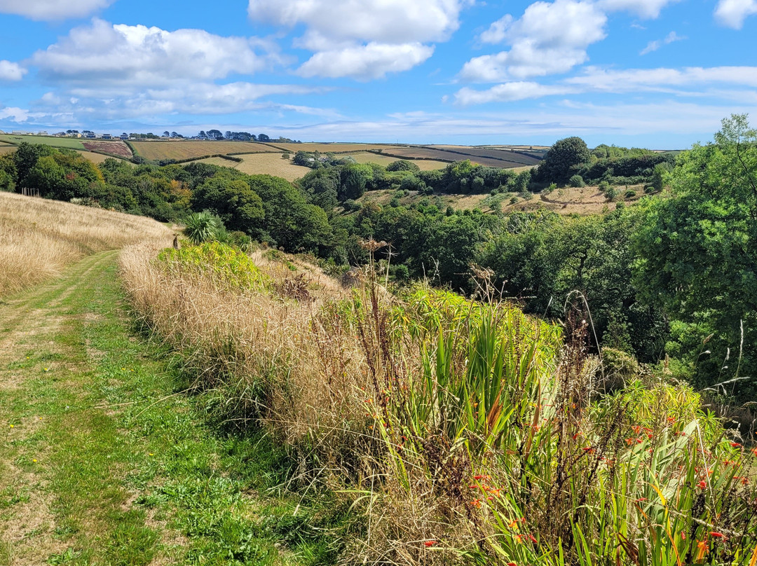 Fast Rabbit Farm Gardens-达特茅斯必去景点