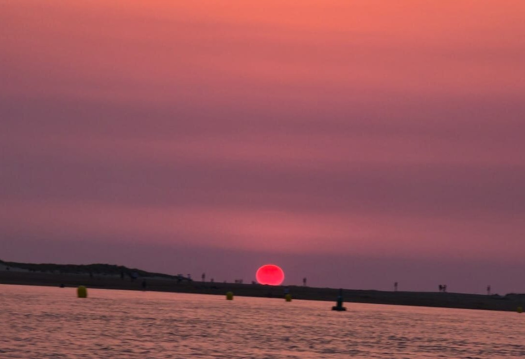 Wells Harbour Tours-Wells-next-the-Sea必去景点