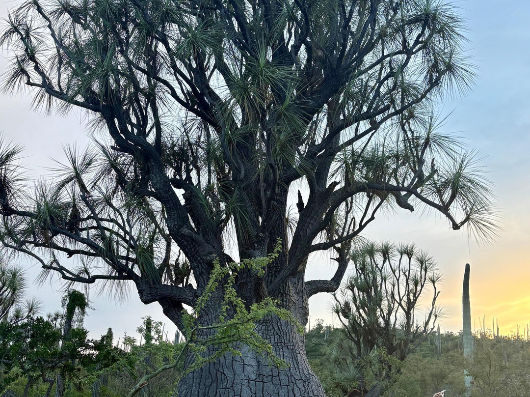 Bio Fan-Tehuacan必去景点