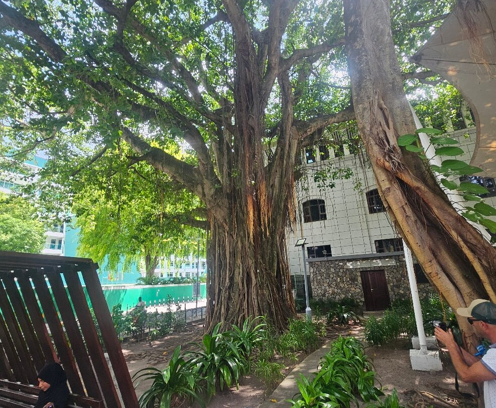 Sultan Park-马累必去景点