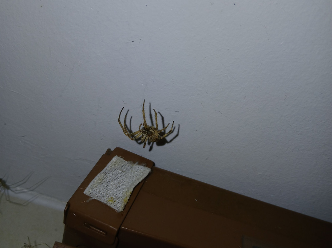 Amberton Cozy Hotel Kaunas主图