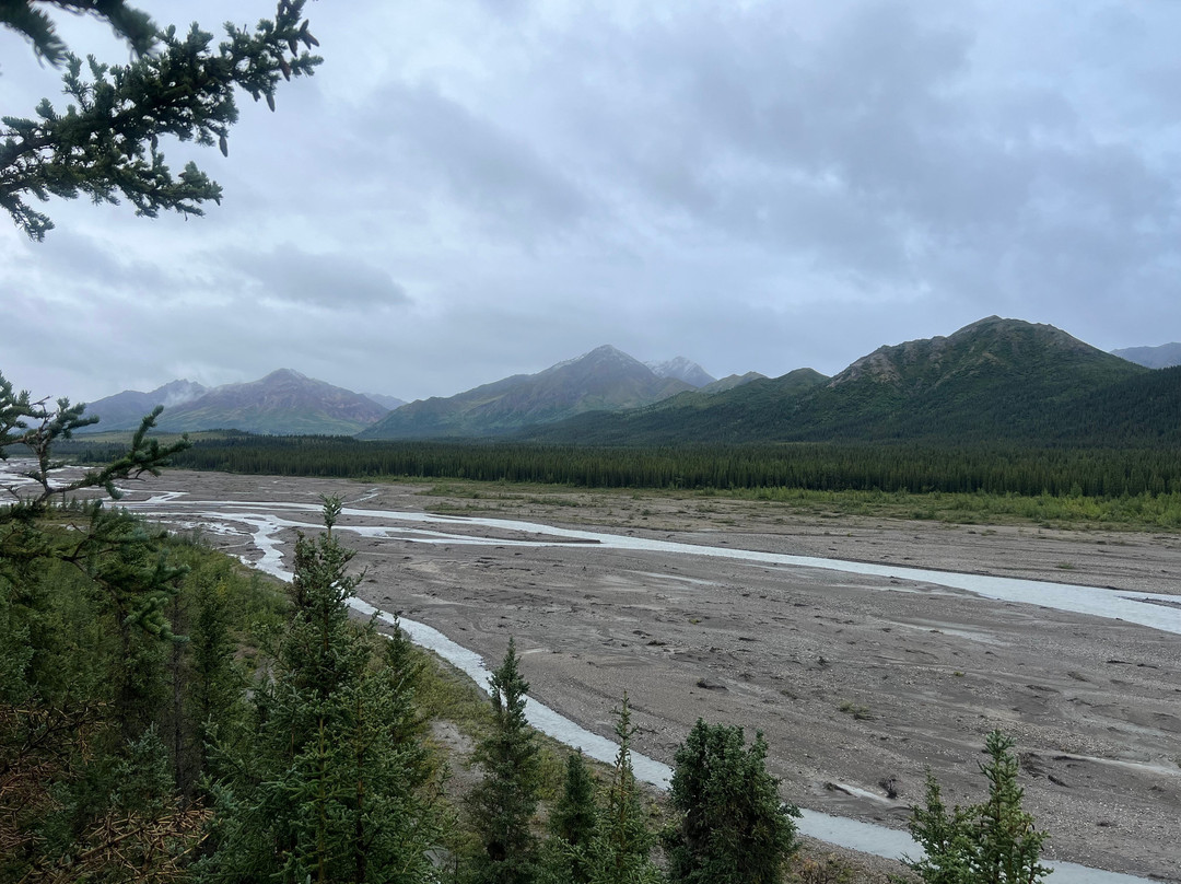 Tundra Wilderness Tour-Denali Park必去景点