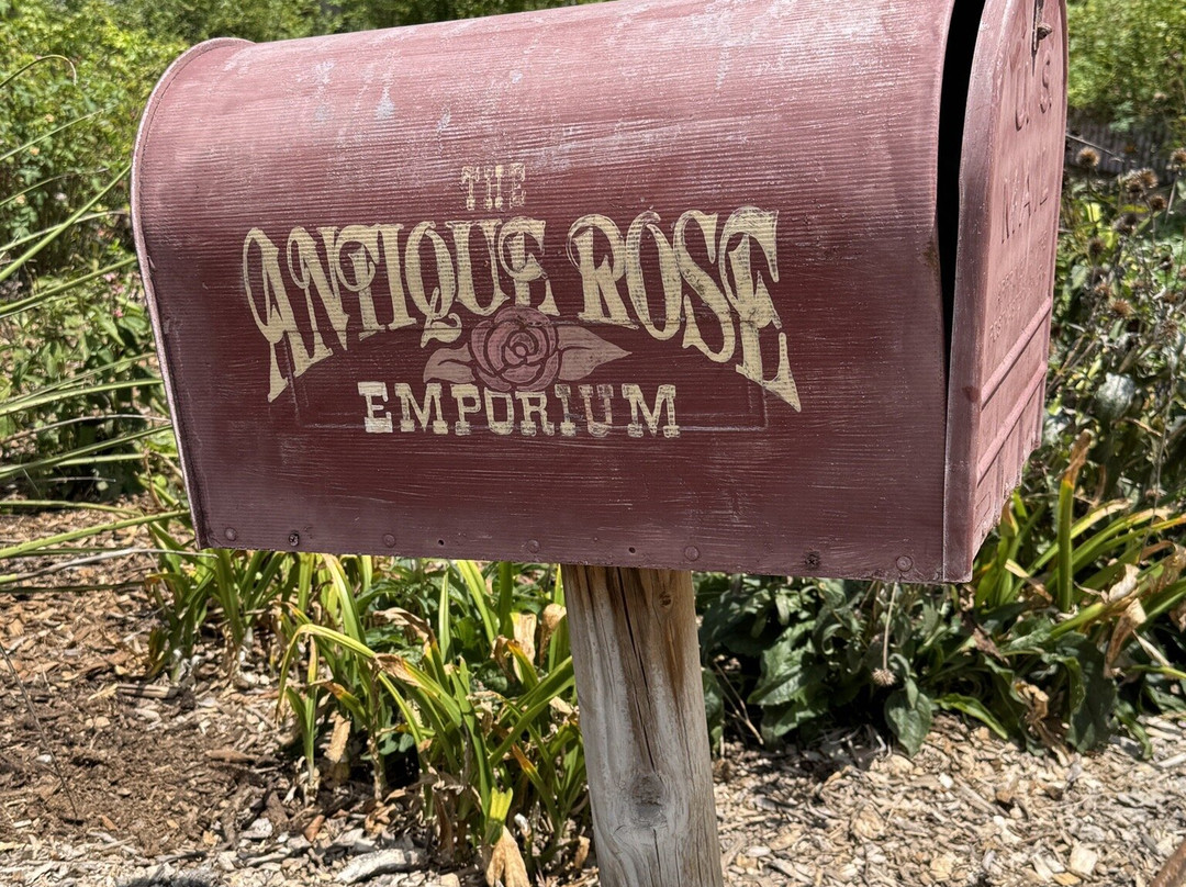 Antique Rose Emporium-Independence必去景点