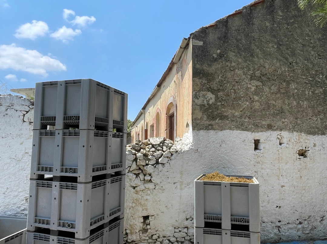 Douloufakis Winery-伊拉克利翁必去景点