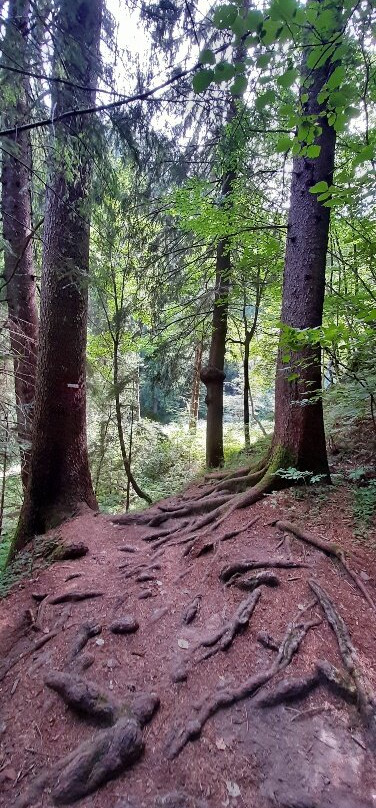 Cascata del Lupo-Bedollo必去景点