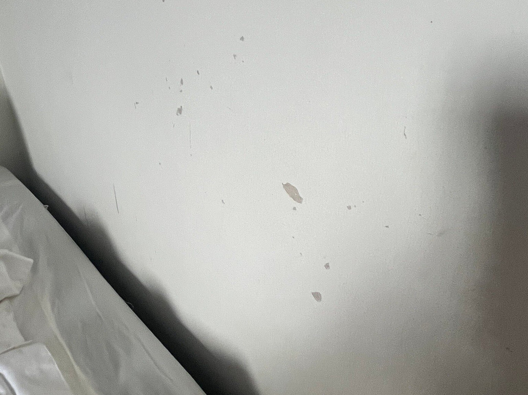 AsiaCamp Resort主图