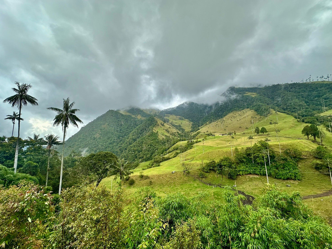Bosques de Cocora-萨伦托必去景点