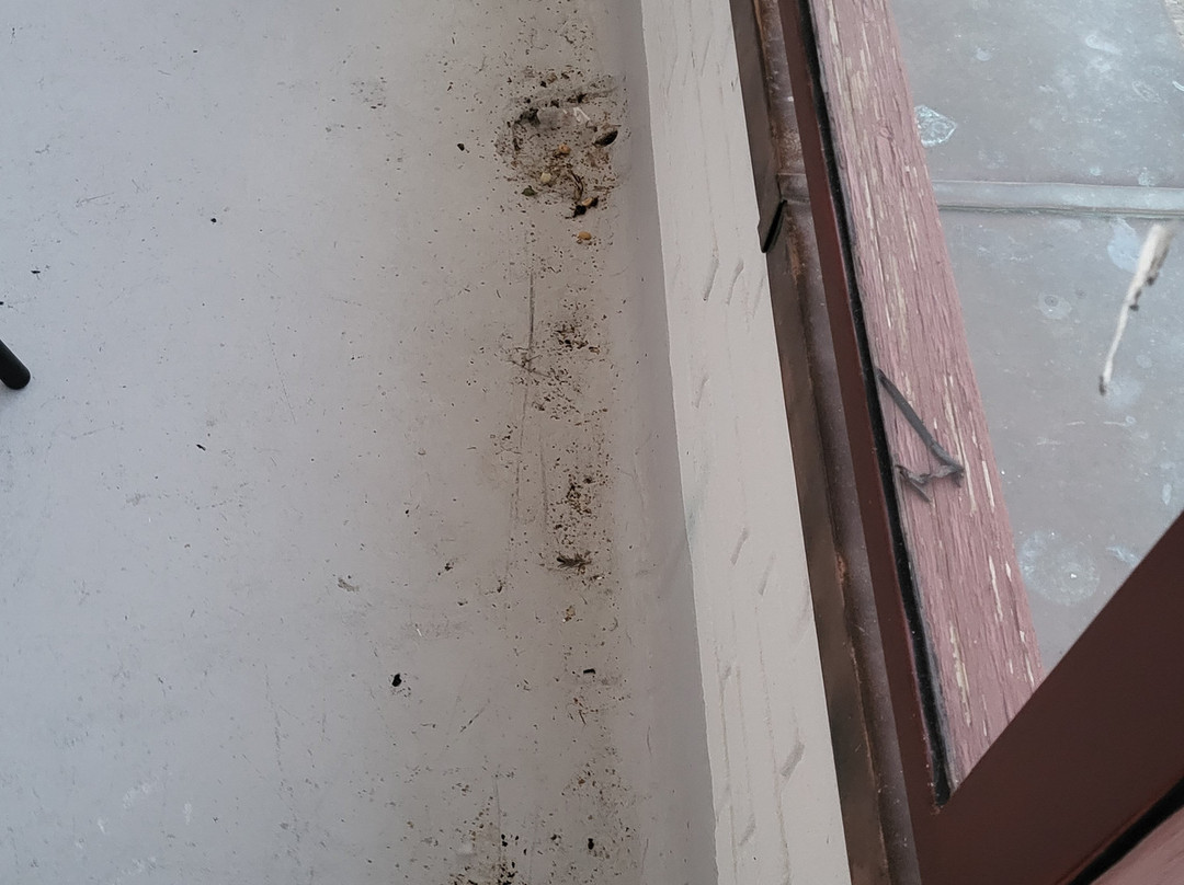 Milling Hotel Søpark, Maribo主图