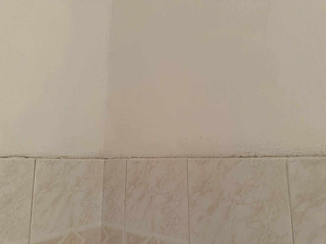 Markella Studios主图