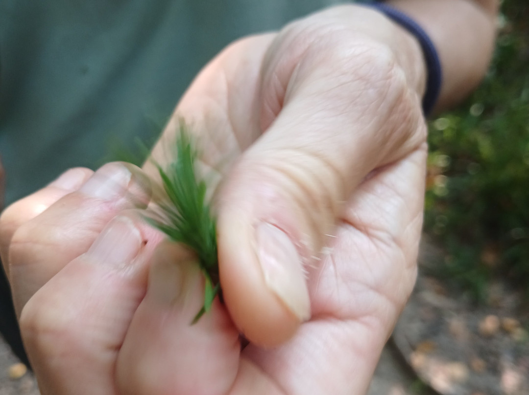 Forage Pembrokeshire-哈弗福韦斯特必去景点