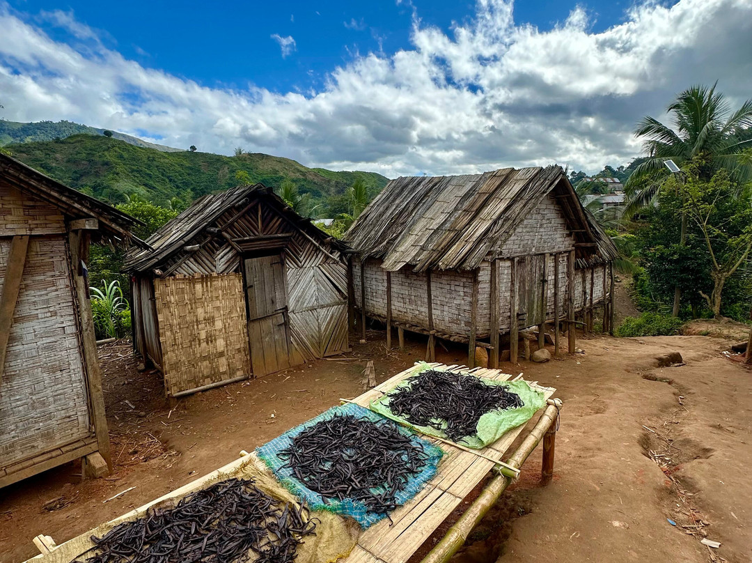 Masoala Travel Guide-Maroantsetra必去景点