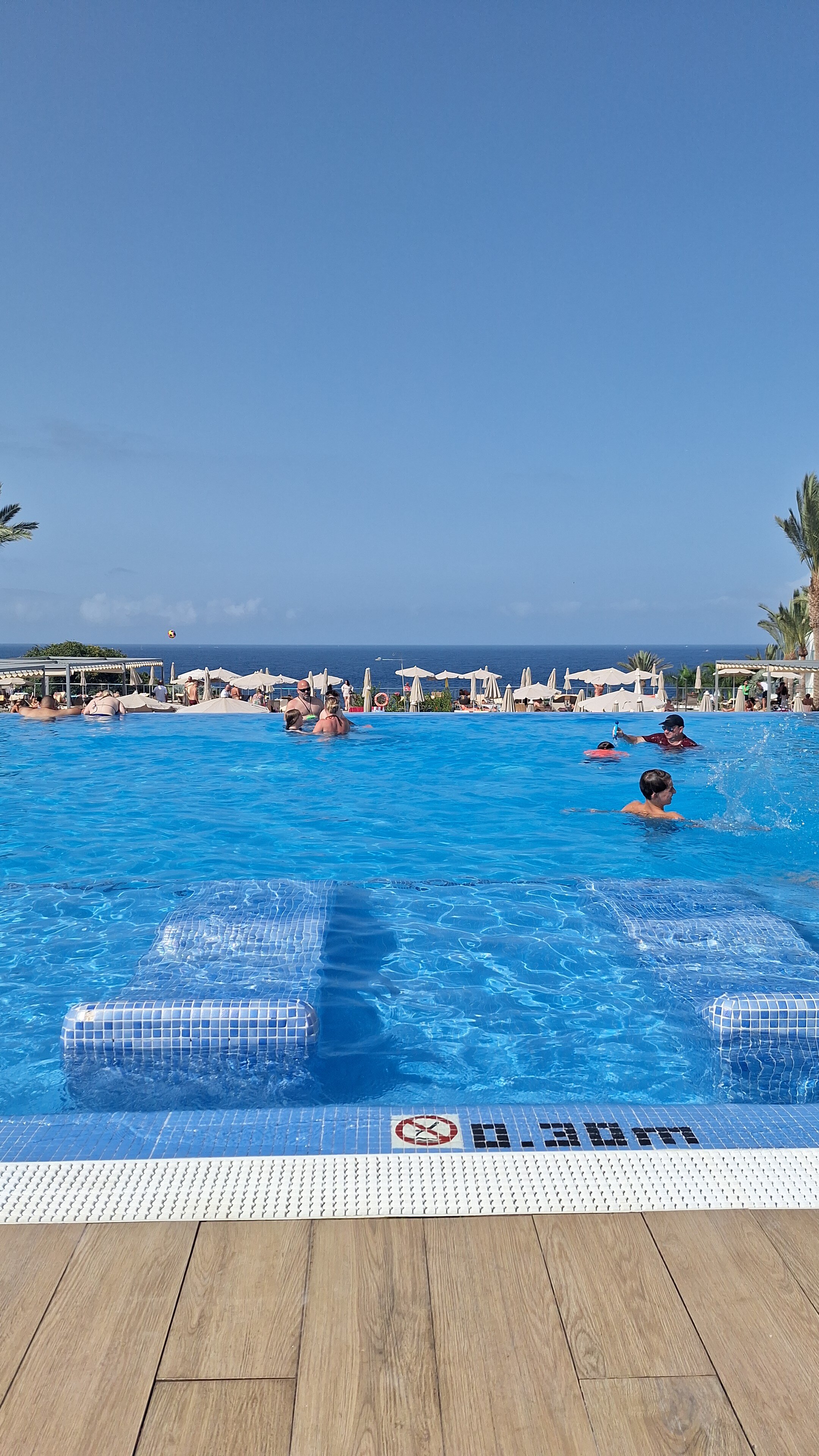 Hotel Riu Buenavista-泳池