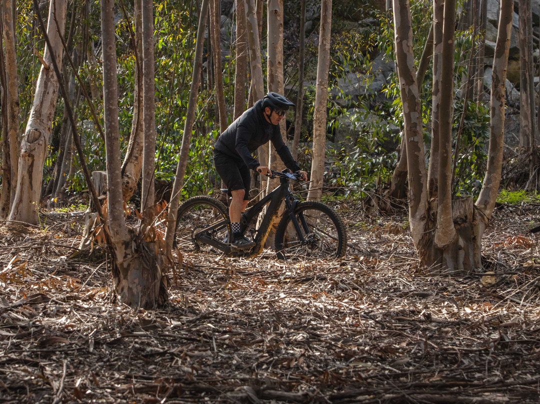Paarl Trails - Laborie Estate-帕尔必去景点
