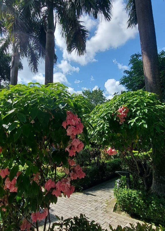 皇家老虎豪华度假村主图