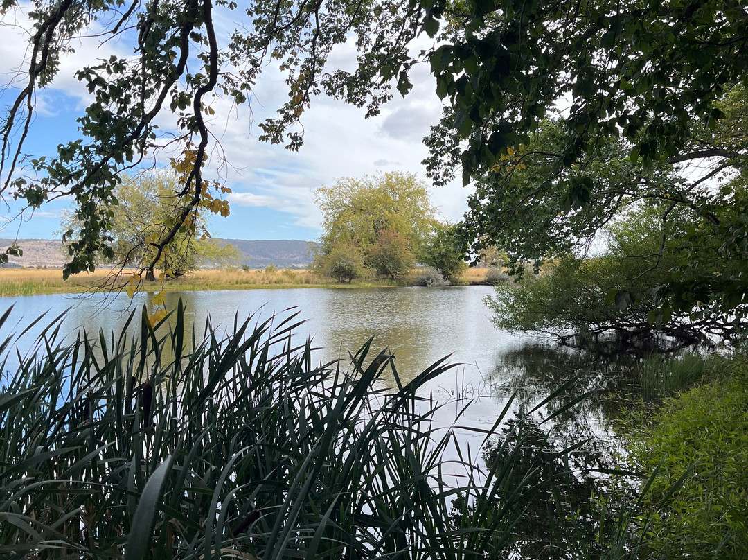 Ross Bridge-罗斯必去景点