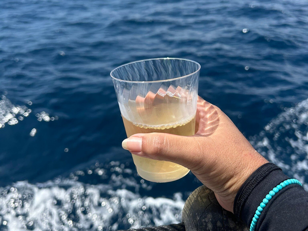 Next Level Sailing-圣地亚哥必去景点