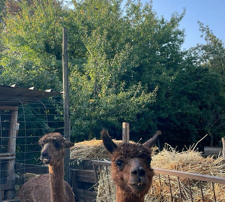 I Nani di Giada Az Agr-弗利必去景点