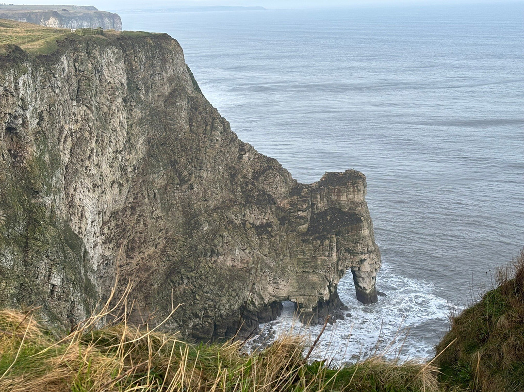 Rspb Bempton Cliffs-Bempton必去景点
