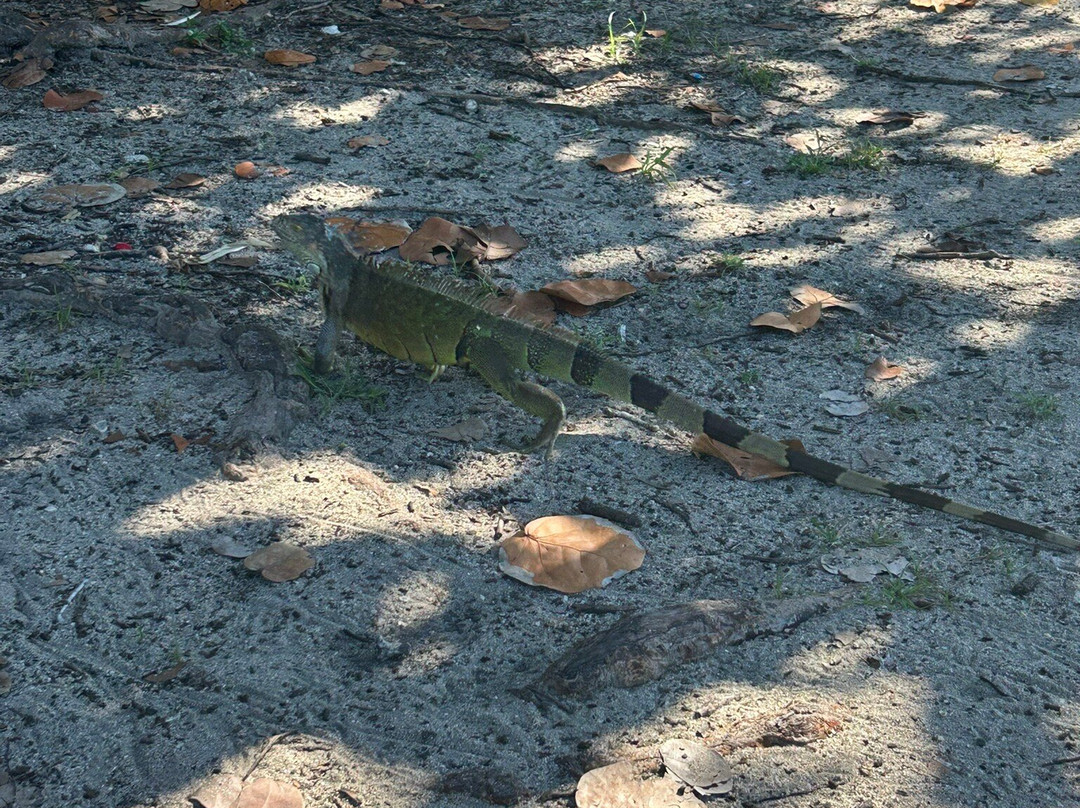 Hollywood North Beach Park-好莱坞必去景点