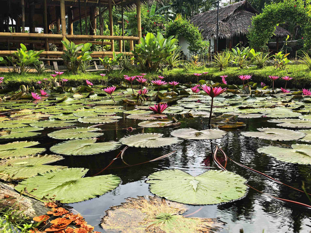 Sumatra Cheeky Monkeys主图