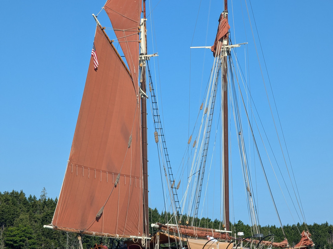 Windjammer Angelique-卡姆登必去景点