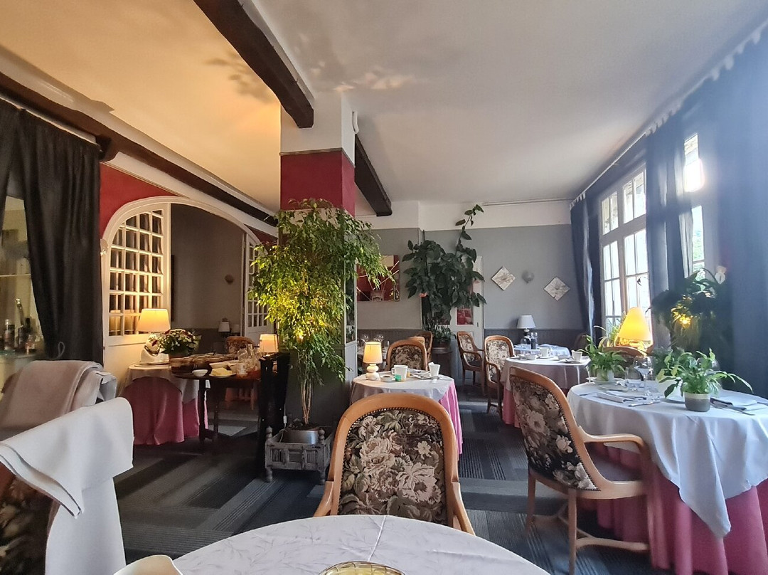 Logis Hôtel du Dauphin主图