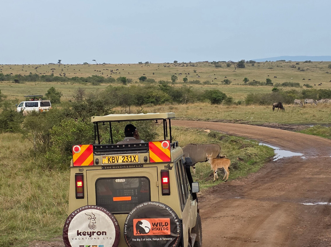 Keyron Vacation Ltd-蒙巴萨必去景点
